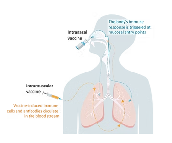 /ueditor/image/20251205/1764899832872325/2439c4146055414d662561c37a866313.png image.png