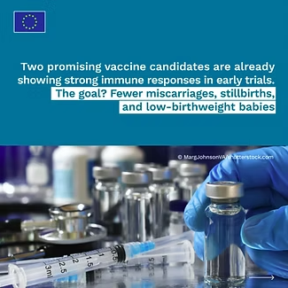 /ueditor/image/20251205/1764900249218530/09dfcdcf7f1ed313dbd09d5ed98189ac.png image.png